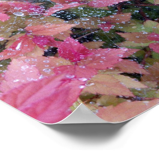 花写真 ポスター (角)