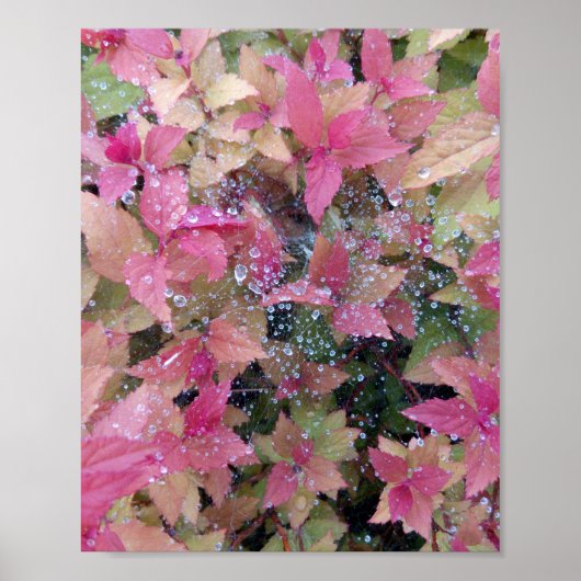 花写真 ポスター (正面)