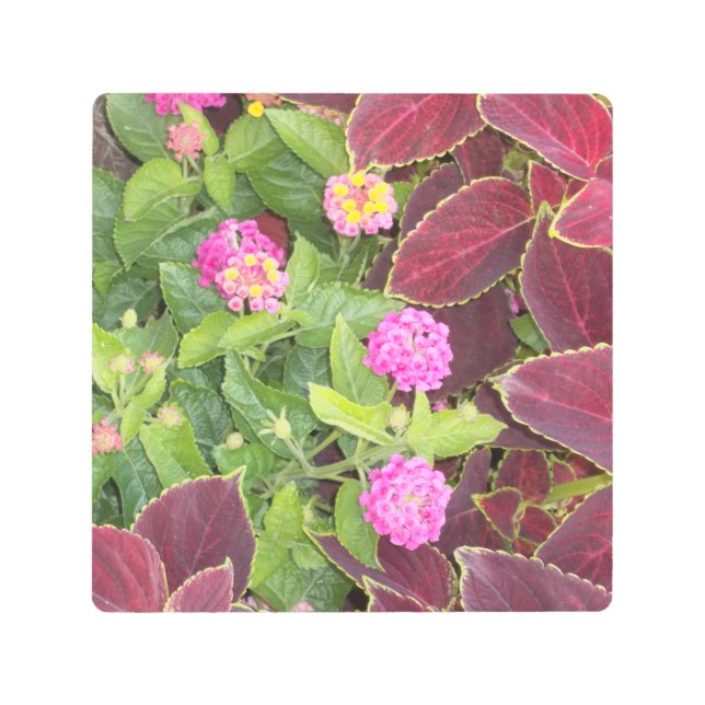 花写真 メタルプリント (正面)