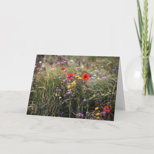 花写真「Happy Mother's Day!」カード カード (正面)