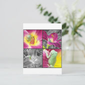 花冠の蛙 ポストカード (スタンド正面)