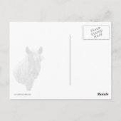 花冠の野生の馬 ポストカード (裏面)