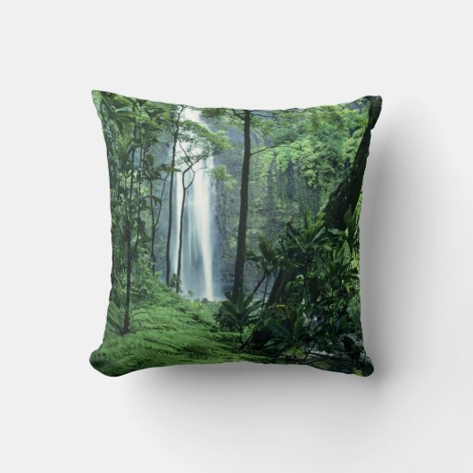 花冠滝 クッション (正面)