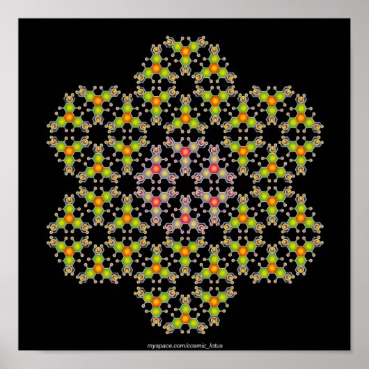 花分子 ポスター (正面)