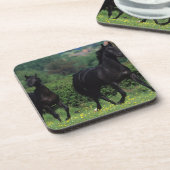 花分野の純血種の馬 コースター (左側)