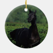 花分野の純血種の馬 セラミックオーナメント (裏面)