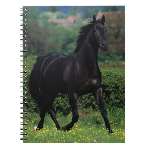 花分野の純血種の馬 ノートブック