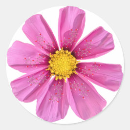 花化学ステッカー ラウンドシール