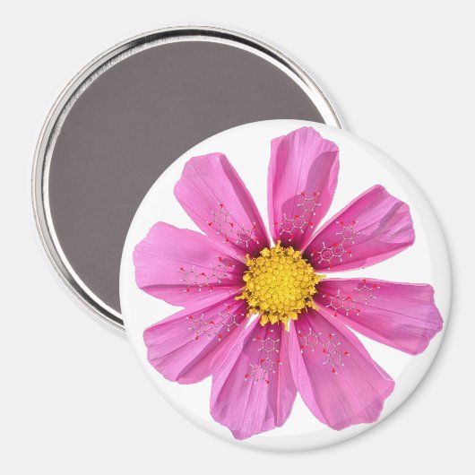 花化学磁石 マグネット (正面/裏面)