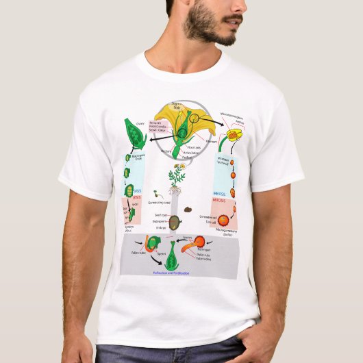 花卉植物 被子植物のライフサイクル ダイアグラム チャート Tシャツ (正面)