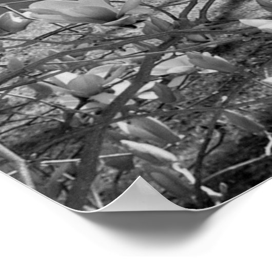 花厳選された類 ポスター (角)