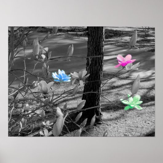 花厳選された類 ポスター (正面)