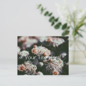 花咲きサボテン植物はがき ポストカード (スタンド正面)