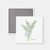 花咲きローズマリー マグネット (正面/裏面)