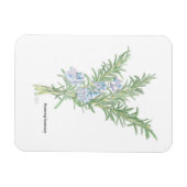 花咲きローズマリー マグネット (横)