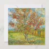 花咲き空白のの桃の木への招待 招待状 (裏面)