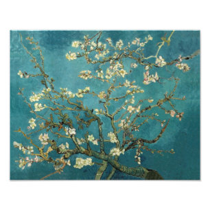 花咲くアーモンドの木 - ヴァンゴッホ フォトプリント