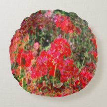 花咲くゲラニウム.....