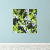 花咲くローズマリーブッシュ キャンバスプリント (インサイチュ (ウッドフロア))
