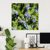 花咲くローズマリーブッシュ ポスター (ホームオフィス)