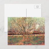 花咲く果樹園、ヴィンセント・ヴァン・ゴッホの梅の木 ポストカード (正面/裏面)