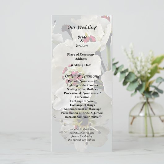 花咲く白い梨の花 プログラム (スタンド正面)