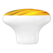 花器ノブ セラミックノブ (側面)