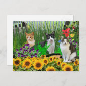 花園で育つタキシード猫/コラージュアート ポストカード (正面/裏面)