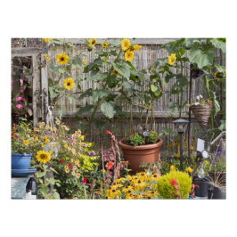 花園と細いボート ポスター