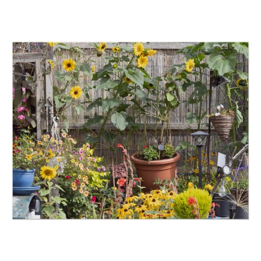 花園と細いボート ポスター (正面)