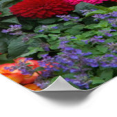 花園のある黄色いピケットフェンス ポスター (角)