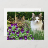 花園のかわいい猫たち/コラージュアート ポストカード (正面/裏面)