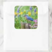 花園のフェンスのポストにブルーバードオス スクエアシール (バッグ)