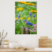 花園のフェンスのポストにブルーバードオス ポスター (キッチン)