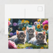花園の可愛い子猫たち ポストカード (正面/裏面)