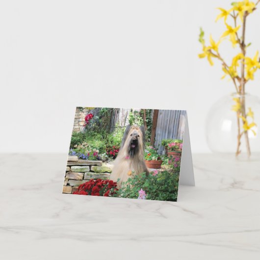 花園のBriard犬 カード (黄色い花)