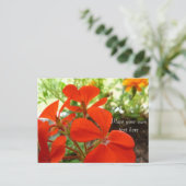 花園はがき ポストカード (スタンド正面)