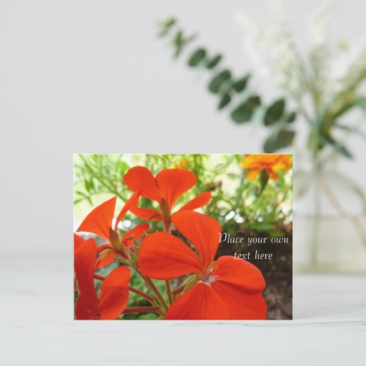 花園はがき ポストカード (スタンド正面)