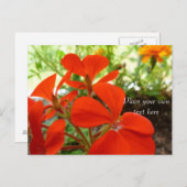 花園はがき ポストカード (正面/裏面)