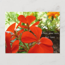 花園はがき ポストカード