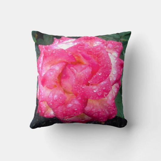 花園縁ど枕 クッション (裏面)