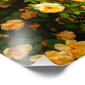 花園 フォトプリント            (角)