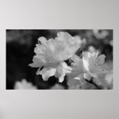 花園 ポスター (正面)