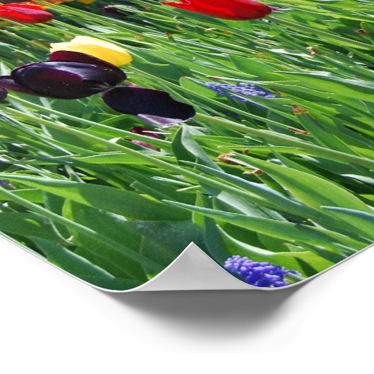 花園 ポスター (角)