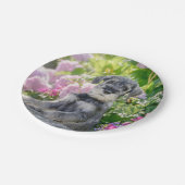 花壇で標準のシュナウザーの子犬 ペーパープレート (アングル)