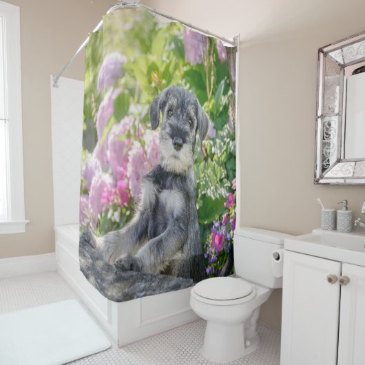 花壇で飼育されるシュナウザーの子犬の標準- シャワーカーテン (インサイチュ)