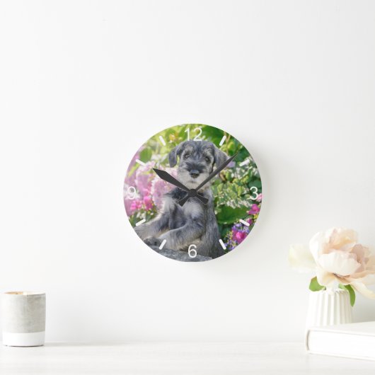 花壇で飼育されるシュナウザーの子犬の標準- ラウンド壁時計 (ホーム)