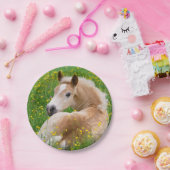花壇のおもしろいなパーティーのHaflingerの馬のかわいい子馬 ペーパープレート (パーティー)
