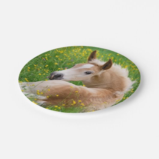 花壇のおもしろいなパーティーのHaflingerの馬のかわいい子馬 ペーパープレート (アングル)
