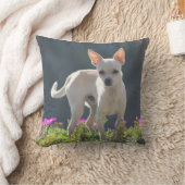 花壇のかわいいChihuahuha クッション (ブランケット)